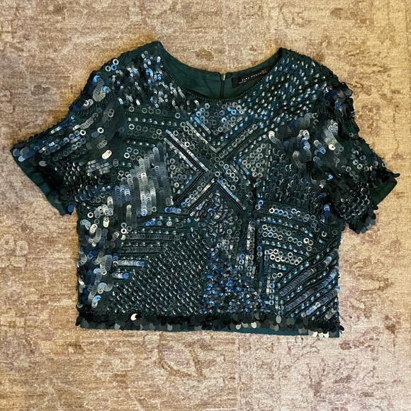 Zara Sequin Beaded Short Sleeve Top size M - Picture 1 of 14